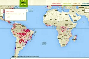 Dữ liệu về các diện tích rừng bị phá trên trang globalforestwatch.org