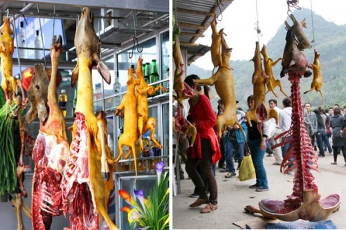  Động vật bị xẻ thịt bày bán tại chùa Hương ngày 18/02/014 (Ảnh: Đỗ Doãn Hoàng)