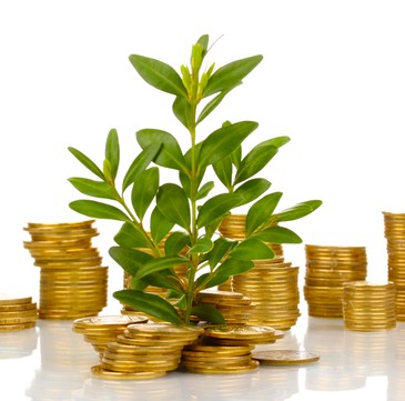 Tây Ninh: Doanh nghiệp bồi thường hơn 1 tỷ đồng do sự cố vỡ bờ bao nước thải
