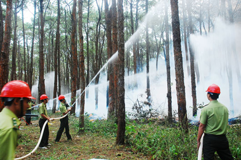 Lực lượng kiểm lâm tỉnh phối hợp với các đơn vị, địa phương tổ chức diễn tập phòng, chống cháy rừng mùa khô năm 2013 - 2014 tại xã Quảng Sơn, Đắk Glong (Ảnh: baodaknong.org.vn)
