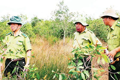 Kiểm lâm Cà Mau tuần tra bảo vệ rừng (Ảnh: Sài Gòn Giải Phóng)