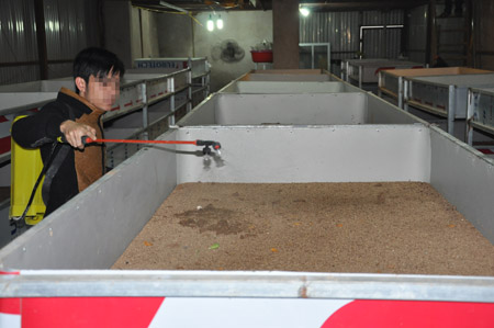 Cơ sở nuôi gián đất rộng hơn 200m2 của Công ty HH ở xã Quảng Phú, Lương Tài, Bắc Ninh (Ảnh: Dân Việt)