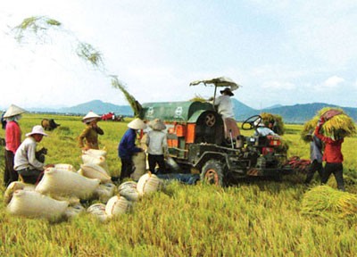 Đầu tư tín dụng cho khu vực kinh tế nông nghiệp, nông thôn sẽ được đẩy mạnh hơn nữa trong thời gian tới (Ảnh: Chinhphu.vn)