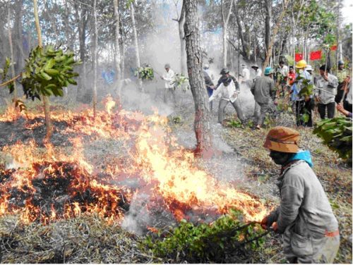 Một vụ cháy rừng ở Khánh Hòa (Ảnh: Báo Khánh Hòa)