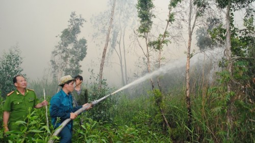 Một vụ cháy rừng ở rừng tràm Cà Mau (Ảnh: Kim Há/TTXVN)