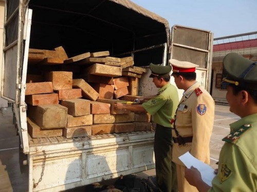 Số gỗ lậu bị thu giữ (Ảnh: Nguyễn Đức Thọ/Vietnam+)