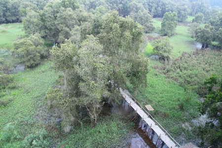 Từ đài quan sát cao hơn 20 mét, du khách có thể bao quát vùng rộng lớn của rừng tràm Trà Sư