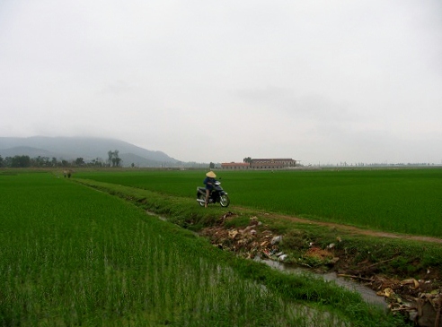 Ruộng lúa ở Bắc Mê, Nghệ An (Ảnh: ThienNhien.Net)