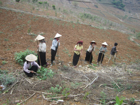 Nông dân xã Bon Phặng, huyện Thuận Châu, làm đất nương nhưng không xâm phạm mốc giới rừng-nương rẫy (Ảnh: Dân Việt)