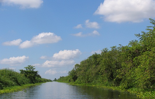 Ảnh minh họa: ThienNhien.Net