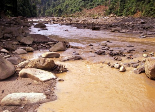 Dòng sông Trà La ngộp thở bùn sa khoáng (Ảnh: Nông nghiệp Việt Nam)