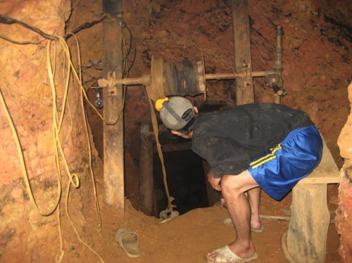 Phu vàng đang làm việc trong hầm (Ảnh: Nông nghiệp Việt Nam)