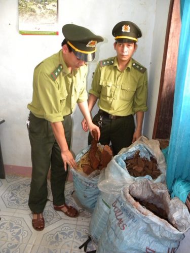 Ba bao chứa rễ và bai gỗ sưa mà lực lượng kiểm lâm thu giữ được của lâm tặc (Ảnh: H.Hà/nld.com.vn)