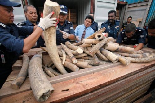 Ảnh minh họa: nytimes.com