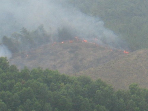 Một vụ đốt rừng diễn ra tại Vườn Quốc gia Bến En (Ảnh: Báo Công Lý)