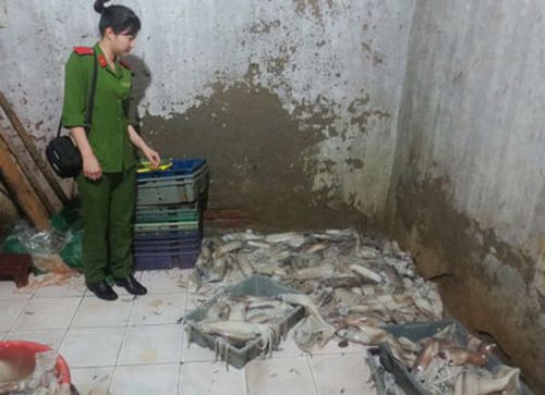 Lô mực thối được ngâm tẩm hóa chất tẩy trắng và chất bảo quản vừa bị cơ quan chức năng bắt giữ tại Hà Nội giữa tháng 4 vừa qua.