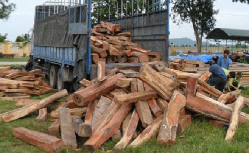 Cơ quan chức năng đã tịch thu toàn bộ số gỗ không có nguồn gốc hợp pháp (Ảnh: An ninh Thủ đô)