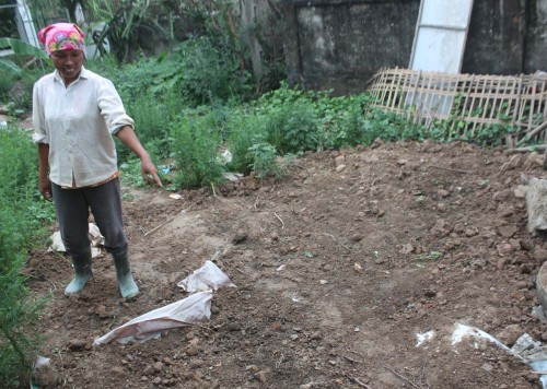 Góc vườn nơi phát hiện số lượng lớn tồn dư thuốc trừ sâu (Ảnh: VietNamNet)