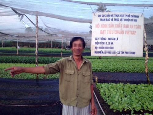 Vườn rau VietGap kiểu đối phó (Ảnh: Nông nghiệp Việt Nam)