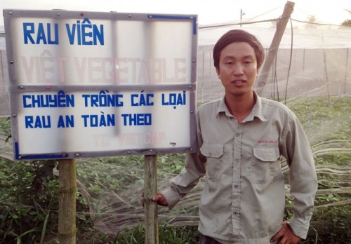 Một vườn rau theo tiêu chuẩn VietGAP)