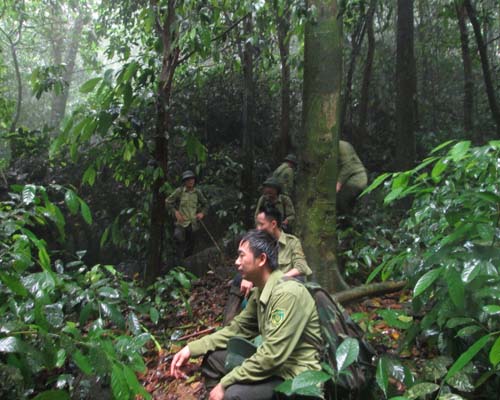 VQG Cúc Phương (Ảnh: Kinh tế Nông thôn)