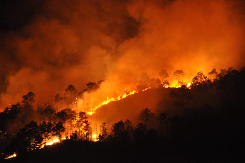 Lửa bùng cháy dữ dội trên rừng Hùng Thắng (Ảnh: Thúy Hằng/Báo Tin Tức)