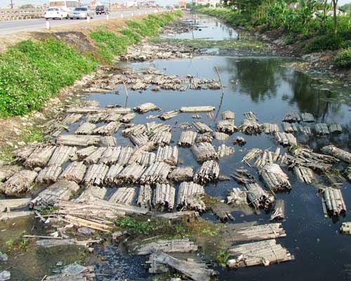 Người dân ngâm tre, nứa xuống các kênh khiến môi trường nước bị ô nhiễm nghiêm trọng (Ảnh: Kinh tế Nông thôn)