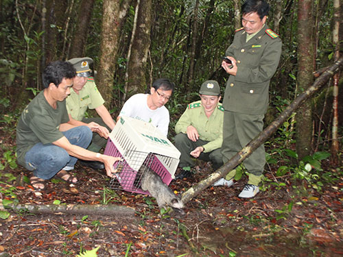 Lực lượng kiểm lâm TP HCM thả động vật hoang dã về tự nhiên