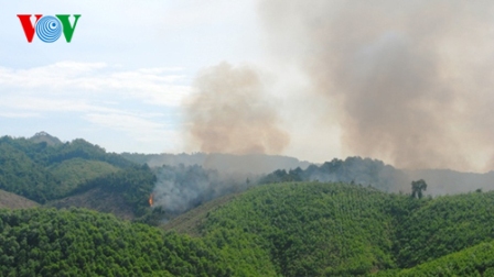 Rừng tự nhiên Xuân Khang đang bị cháy vì hộ dân dùng lửa dọn rừng sau thu hoạch