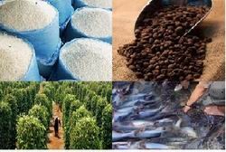 Phê duyệt Đề án Nâng cao giá trị gia tăng hàng nông lâm thủy sản