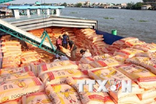Bốc xếp gạo xuất khẩu tại công ty lương thực Long An (Ảnh: Đình Huệ/TTXVN)