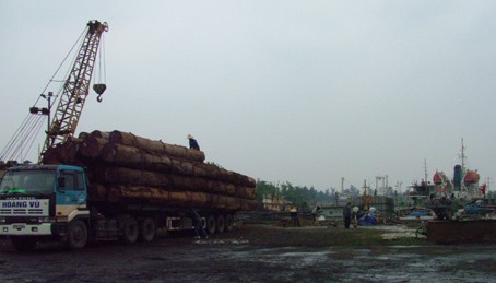 DN đẩy mạnh NK gỗ từ Campuchia (Ảnh minh họa: Báo Hà Tĩnh)
