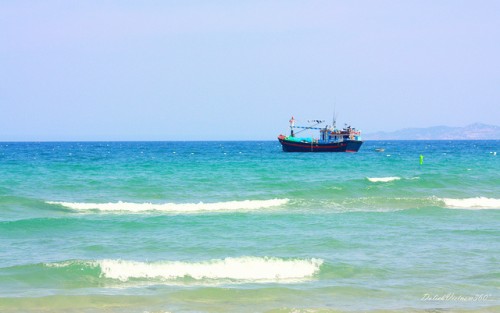 Ảnh minh họa: Trần Thái Hòa/flickr.com