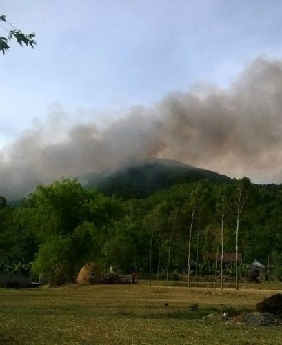 Hiện trường vụ cháy rừng thông trên núi Hủng Vàng (xã Nam Xuân, huyện Nam Đàn, Nghệ An) chiều 10/6 (Ảnh: Pháp luật TP.HCM)