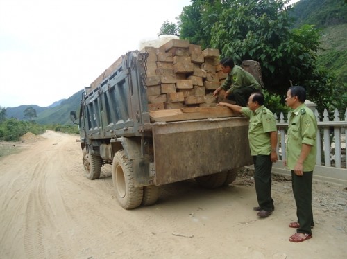 Xe chở gỗ lậu bị bắt giữ đêm 11/6 tại rừng Hòa Bắc (Ảnh: nongnghiep.vn)