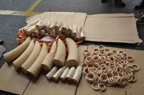 Nhiều sản phẩm được chế tác từ ngà voi châu Phi nhập lậu (Ảnh: Báo Hải Quan)