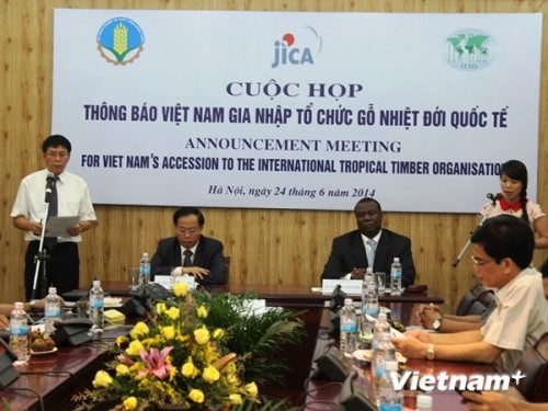 Việt Nam chính thức trở thành thành viên thứ 69 của ITTO (Ảnh: Thanh Tâm/VietnamPlus)