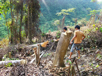 Ảnh minh họa: Đại Đoàn Kết