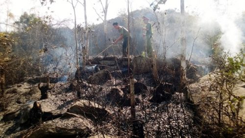 Vụ cháy rừng ở Kỳ Sơn (Ảnh: An ninh Thủ đô)