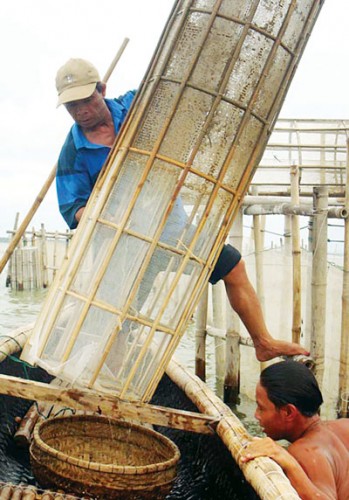 Đời sống của ngư dân khai thác thủy sản trên phá Tam Giang ngày một khó khăn do nguồn lợi thủy sản khan hiếm. (Ảnh: SGGP)