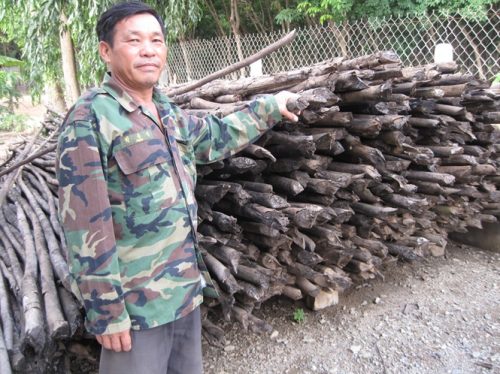 Nông dân Nguyễn Văn Trãi (ấp Thạnh Trung, xã Thạnh Tân, TP Tây Ninh) bên đống gỗ cao su chặt bỏ (Ảnh: Nông nghiệp Việt Nam)