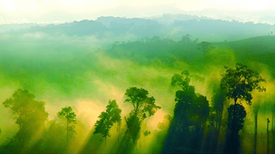 Rừng tự nhiên hàng trăm năm tuổi tại Khu Bảo tồn thiên nhiên Tà Đùng, huyện Đác Glong, tỉnh Đác Nông (Ảnh: Nhân Dân)