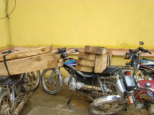 Tang vật bị tịch thu (Ảnh minh họa: ThienNhien.Net)