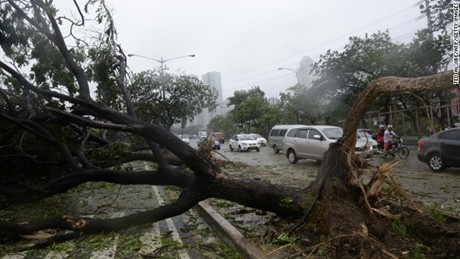 Cơn bão đánh đổ cây cối bên đường tại thủ đô Manila (Ảnh: CNN)