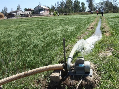 Chắt chiu nước tưới lúa hè thu khu vực cuối nguồn nước (Ảnh: nongnghiep.vn)