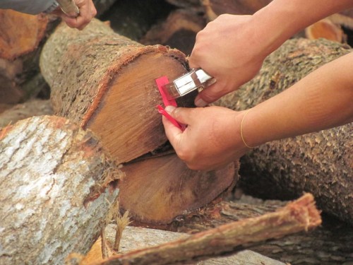 Dán nhãn FSC cho gỗ thành phẩm (Ảnh: WWF)