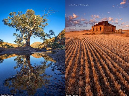 Fletcher có một phong cách hết sức riêng biệt, có thể thấy trong bức ảnh bên trái được chụp ở hẻm Brachina thuộc dãy núi Flinders, miền Nam Australia và bức bên phải được chụp tại một khu vực hoang vu ở phía bắc miền Nam Australia.