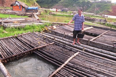 Mô hình nuôi cá lồng trên sông Ðà của gia đình ông Bùi Văn Kế ở xã Phúc Sạn, huyện Mai Châu (Hòa Bình) mang lại hiệu quả kinh tế cao (Ảnh: Hoàng Hùng/Nhân Dân)
