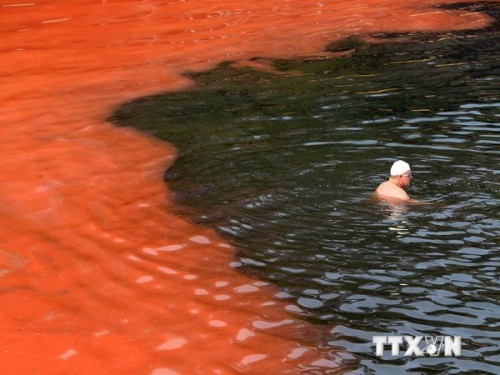 Thủy triều đỏ đã trở thành "nỗi ám ảnh" của mùa du lịch biển Florida (Ảnh: AFP/TTXVN)