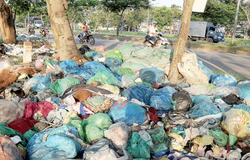 Đống rác đủ loại nằm bên đường Nguyễn Văn Linh, đoạn qua huyện Bình Chánh (Ảnh: Cao Thăng/Sài Gòn Giải Phóng)